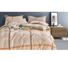 Постельное белье евростандарт RS-257