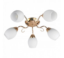 Потолочная люстра TopLight Kristin TL3520X-05FG