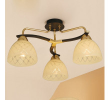 Потолочная люстра Citilux Кристи 