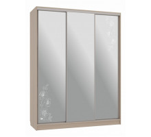 Шкаф-купе Бассо 4-600 токио