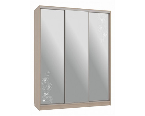 Шкаф-купе Бассо 4-600 токио