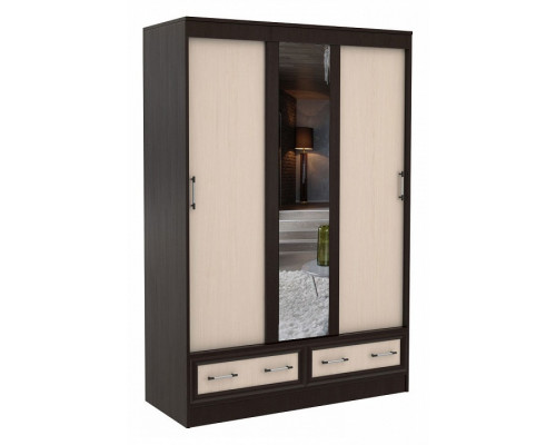Шкаф-купе Модерн