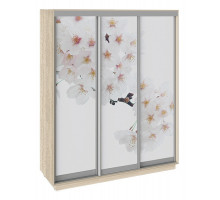 Шкаф-купе Румер СШК 1.180.60-35