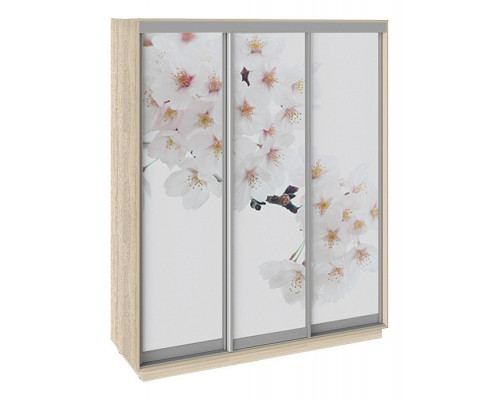 Шкаф-купе Румер СШК 1.180.60-35