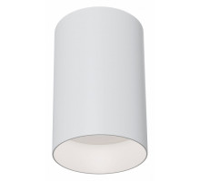 Накладной светильник Maytoni Alfa C014CL-01W