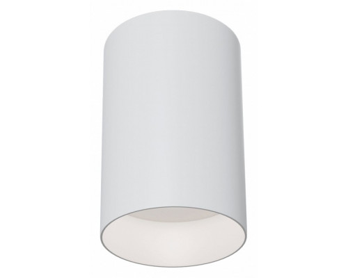 Накладной светильник Maytoni Alfa C014CL-01W