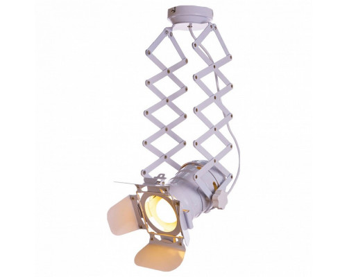 Светильник на штанге Loft it Cinema LOFT3096-M