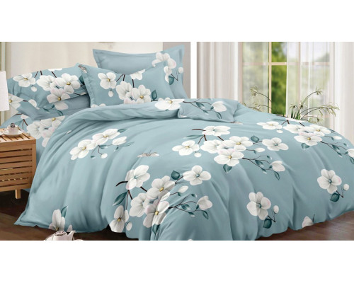Постельное белье двуспальное Art Color 050-AC
