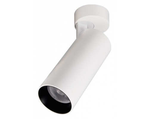 Спот Citilux Тубус