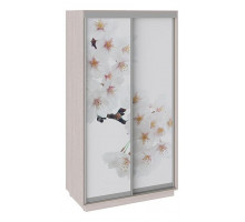 Шкаф-купе Румер СШК 1.120.60-25