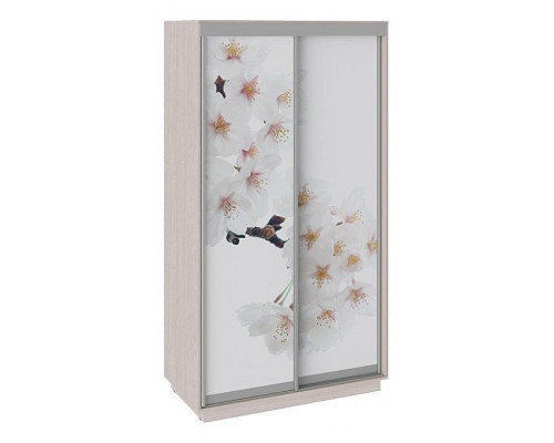 Шкаф-купе Румер СШК 1.120.60-25