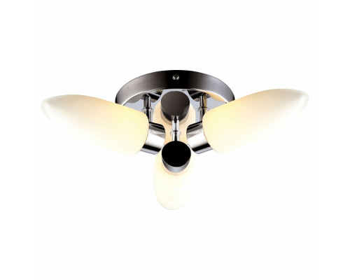 Накладной светильник Arte Lamp Aqua A9502PL-3CC