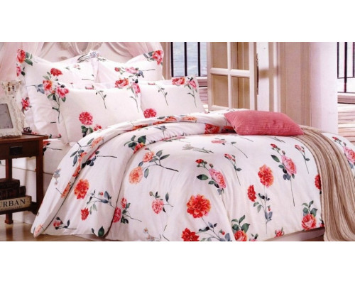 Постельное белье евростандарт CL-196