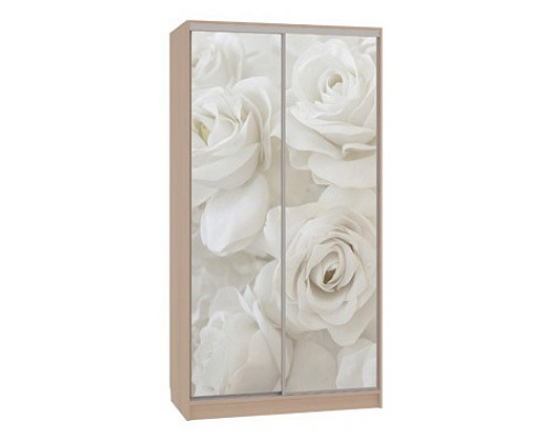 Шкаф-купе Рио 7-600 розы