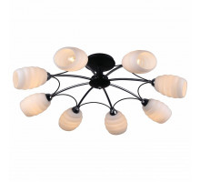 Потолочная люстра Lussole Chinle 