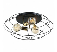 Накладной светильник Lussole Truman 