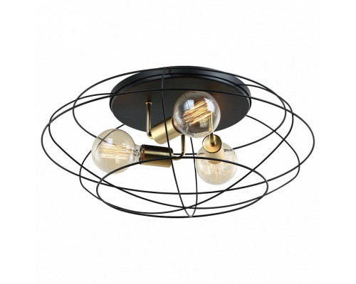 Накладной светильник Lussole Truman