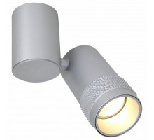 Спот Favourite Kinescope 2454-1U