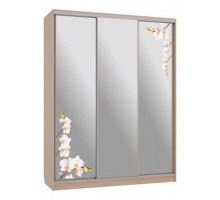 Шкаф-купе Бассо 4-600 орхидеи