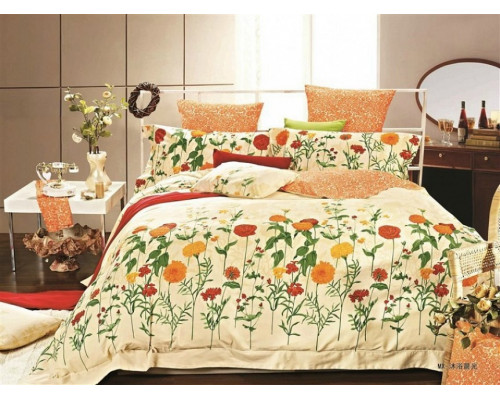 Постельное белье евростандарт C-162