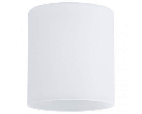 Плафон стеклянный Paulmann Zyli 60004