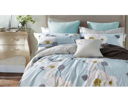 Постельное белье евростандарт RS-228