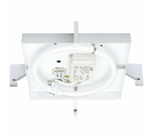 Накладной светильник Paulmann Basic 70047