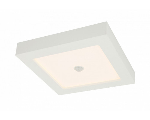 Накладной светильник Globo Svenja 41606-18S