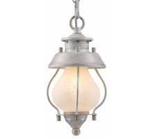 Подвесной светильник Favourite Lucciola 1461-1P