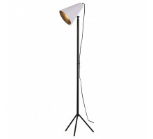 Торшер Lussole Cozy 