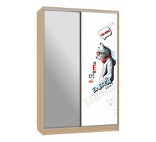 Шкаф-купе Гранд 9-600 Энерджи