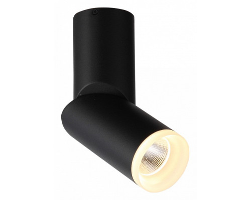 Светильник на штанге ST-Luce Tortelle