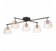 Потолочная люстра Lumion Joseph 4455/5C