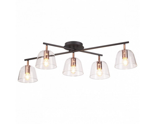 Потолочная люстра Lumion Joseph 4455/5C