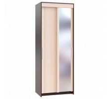 Шкаф-купе ШР-96.2