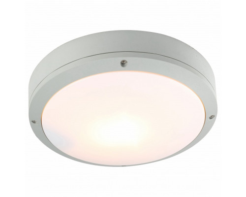 Накладной светильник Arte Lamp City A8154PF-2GY