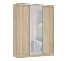 Шкаф-купе Бассо 1-600 бабочки