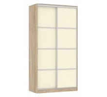 Шкаф-купе Рио 2-600