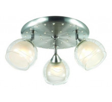 Спот Omnilux Saragossa OML-28307-03