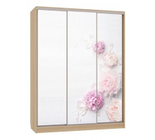 Шкаф-купе Бассо 7-600 17