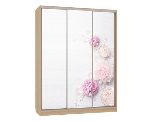 Шкаф-купе Бассо 7-600 17