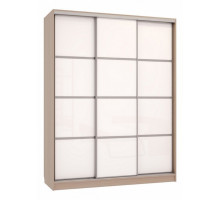 Шкаф-купе Бассо 2-600