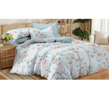 Постельное белье евростандарт Pure Cotton