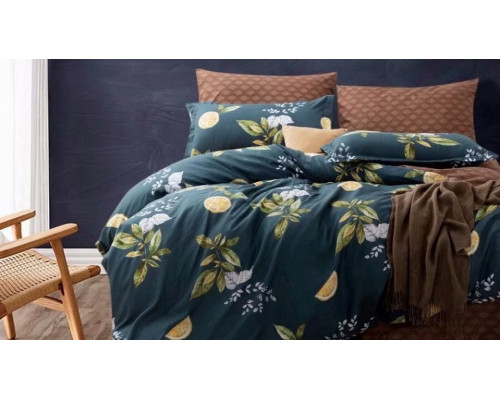 Постельное белье двуспальное Вальтери MP