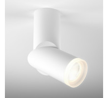 Спот Elektrostandard DLR036 a043961