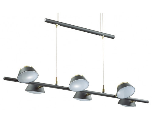 Подвесной светильник Lumion Jill 3747/30L