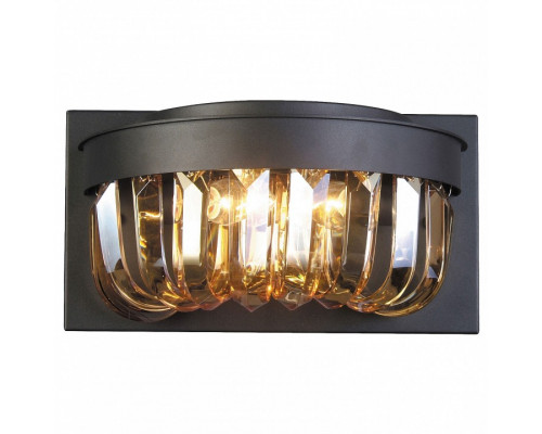 Накладной светильник Favourite Amber 1657-2W