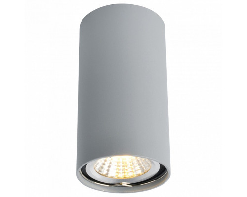 Накладной светильник Arte Lamp 1516 A1516PL-1GY