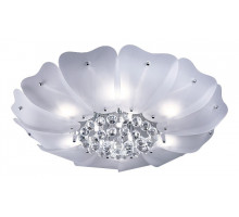 Накладной светильник Lightstar Lobo 804040