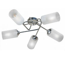 Потолочная люстра Vitaluce  V4909-9/5PL